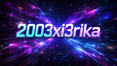2003xi3rika