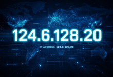 124.6.128.20