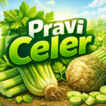 Pravi Celer